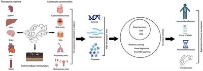 Artificial intelligence-driven microbiome data analysis for estimation of postmortem interval and crime location